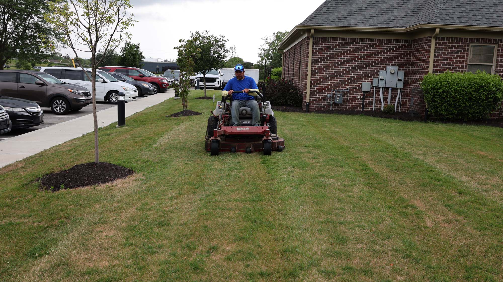 Lawn Mowing