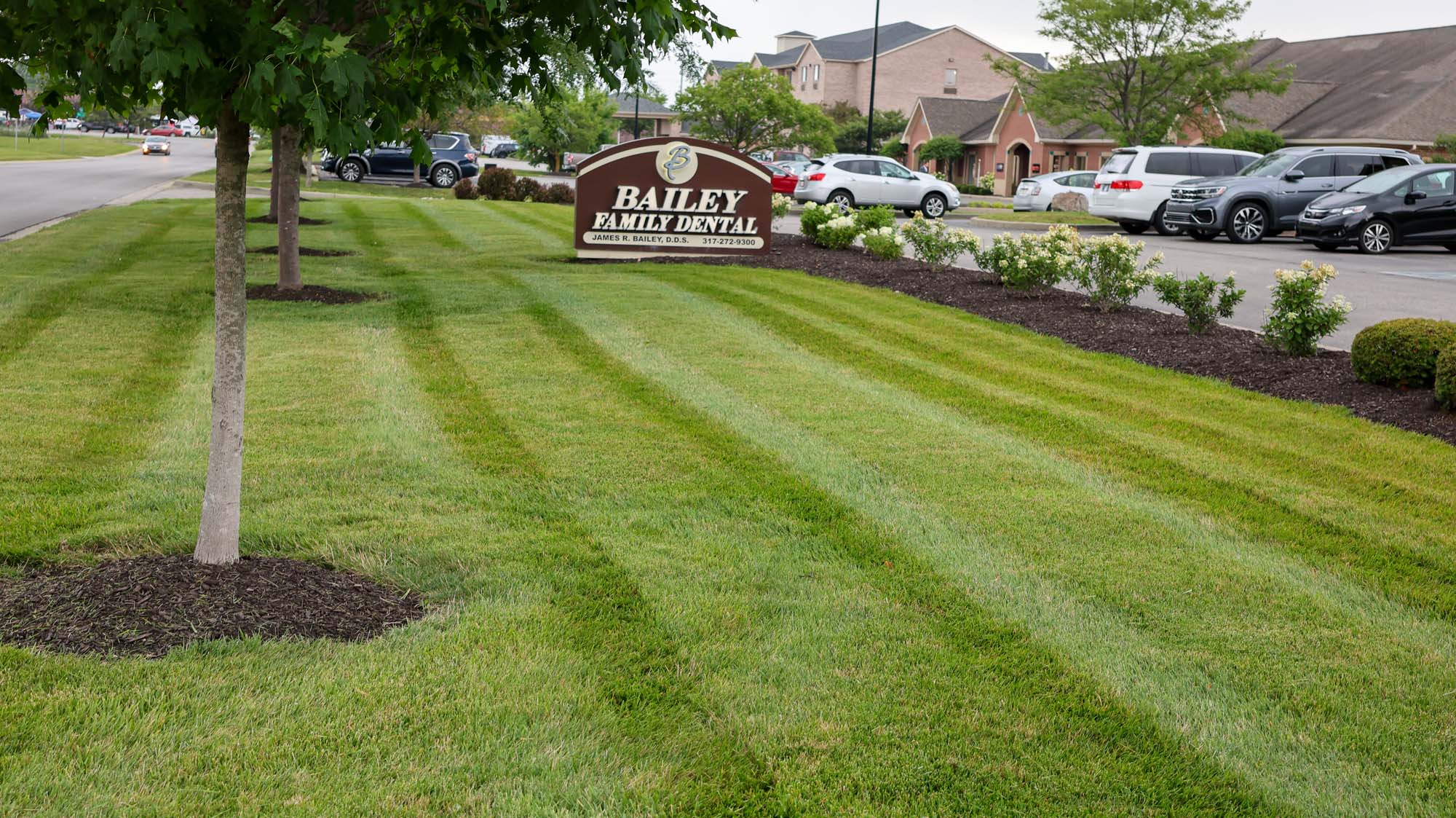 Commercial lawn
