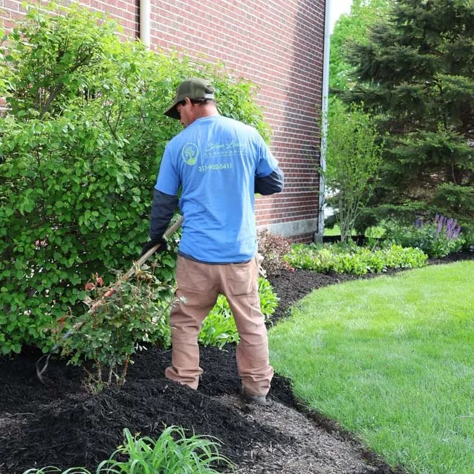 Spreading Mulch