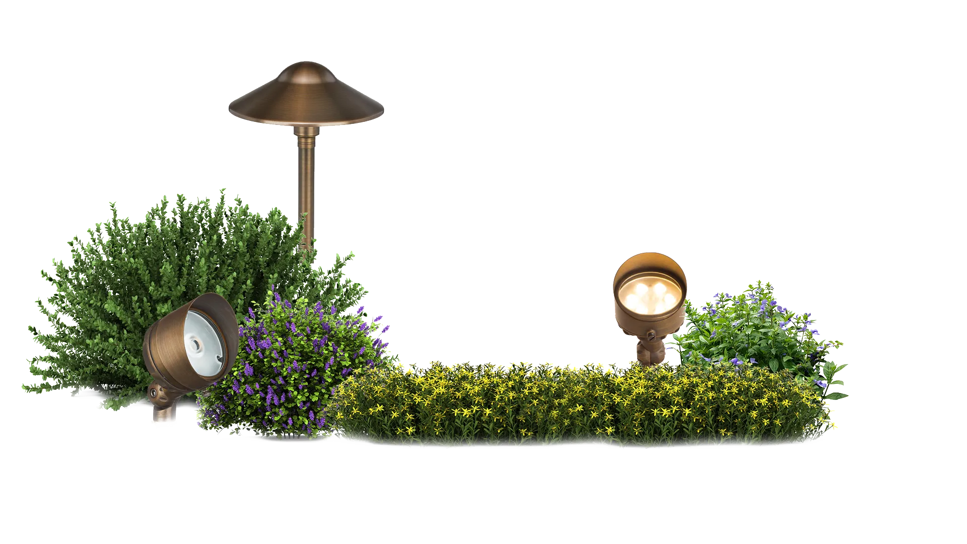 Landscape Lighting