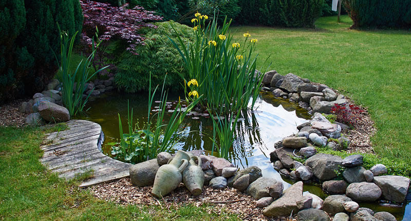 Water feature Construction