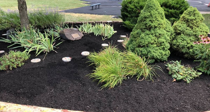 landscape-maintenance-services Landscape Maintenance Services